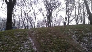 Хонда Степвагон полный привод