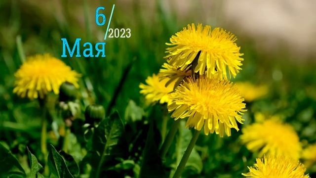 6 МАЯ 2023 ЧТО НЕЛЬЗЯ ДЕЛАТЬ,НАРОДНЫЕ ПРИМЕТЫ,ЧТО МОЖНО ДЕЛАТЬ смотреть онлайн