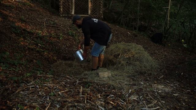 Хижина в лесу лесная ХИЖИНА своими руками из подручных материалов бушкрафт смотреть онлайн