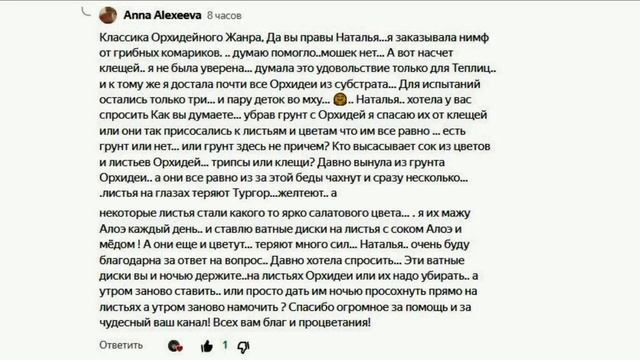 ??ЛУКОВАЯ И ЧЕСНОЧНАЯ ШЕЛУХА - ИММУНОМОДУЛЯТОР И СРЕДСТВО ОТ НАСЕКОМЫХ ДЛЯ ОРХИДЕЙ! ЖМЕНЯ ШЕЛУХИ??? смотреть онлайн