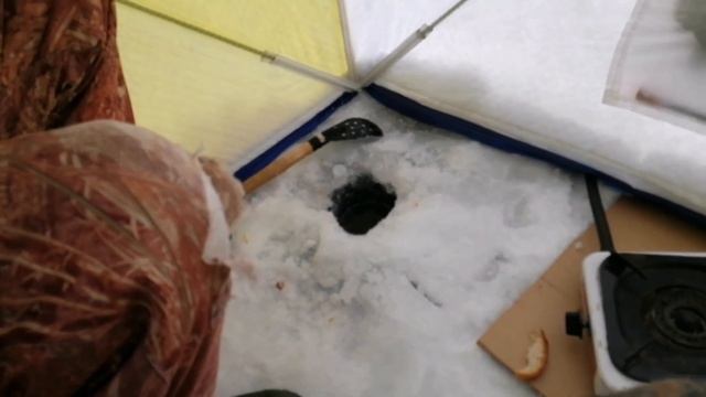 Рыбалка на сорогу, озеро Парное 2020 смотреть онлайн