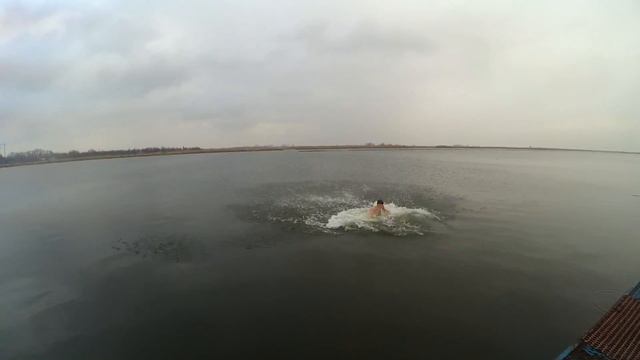 НЕАДЕКВАТНЫЕ МОРЖИ. ЧАСТЬ 1 смотреть онлайн