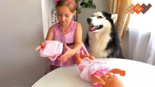 Кукла Беби Борн - видеообзор - Zapf Creation Кукла Праздничная 