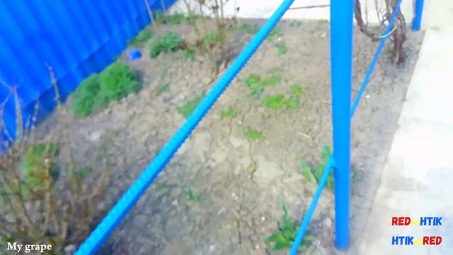 My grape от Александра Токарева смотреть онлайн