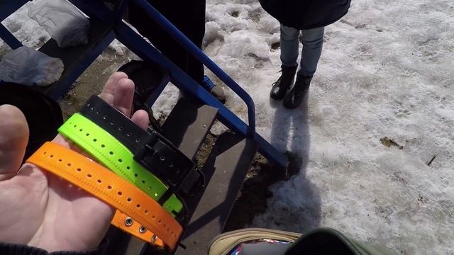 Серия 1 Дрессировка немецких овчарок смотреть онлайн