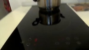 LEX EVI 320 BL индукция  хватило на 4 месяца