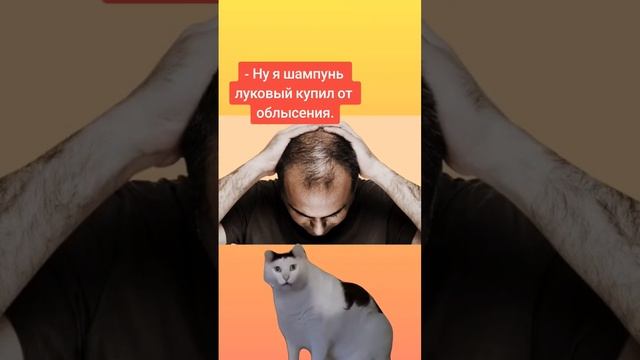 ?Расскажу все про выпадение #выпадениеволос #алопеция #облысение #волосы #дляволос #отвыпаденияволо