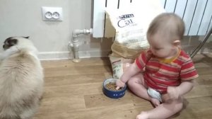 Ребенок ест кошачий корм.