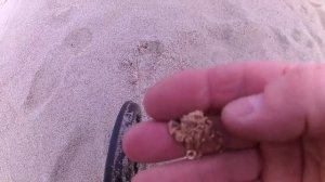 Поиск золота на пляже металлоискателем, первое золото