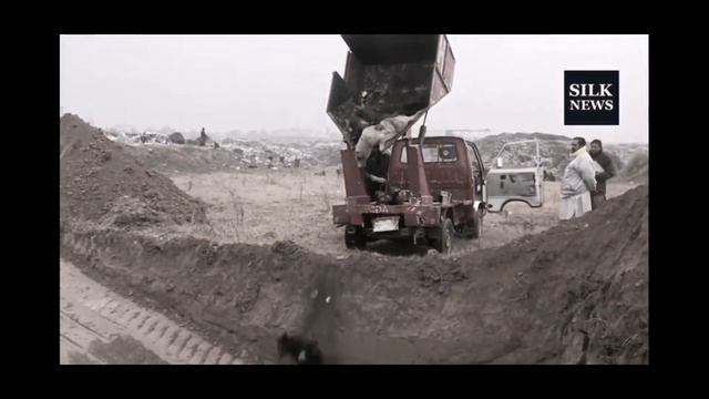 Бездомные собаки.. отстрел.. Суровая жизнь бездомных собак. смотреть онлайн