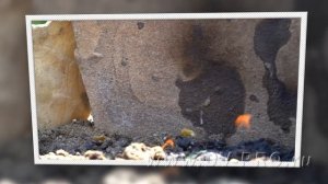 6.  Лооский храм. Что посмотреть в поселке Лоо? Как добраться до храма?