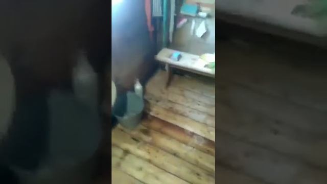 Как протопить баню при помощи всего лишь 9 березовых поленьев? смотреть онлайн