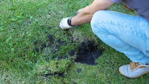 АВТОПОЛИВ своими руками СКОЛЬКО стоит? Замена дождевателя + настройка.