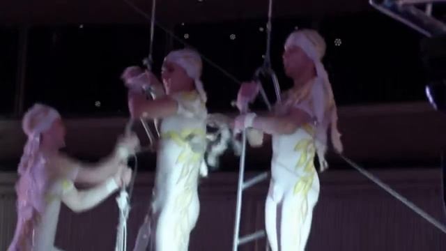 Известные дрессировщики привезли в Новосибирск уникальное шоу с уссурийскими тиграми смотреть онлайн