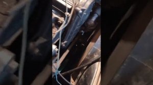 двигатель мазда бонго брауни 1992 г. в. запуск после капитального ремонта!