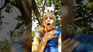 Песня Что ты имела в виду