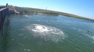 ПРИКОЛЬНЫЕ ПРЫЖКИ С МОСТА В ВОДУ ИГРА ЗАКАЗНОЙ