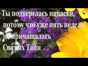 Как часто надо причащаться Святых Тайн - Пестов Н.Е.