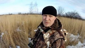 Приманка для лисы