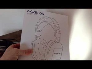 Удивительные наушники WGZ BLON B60