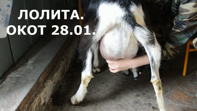 Вареная сгущенка. Проверенный рецепт.