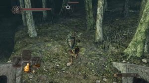 Dark Souls 2 подробно [11] - Роща Охотника
