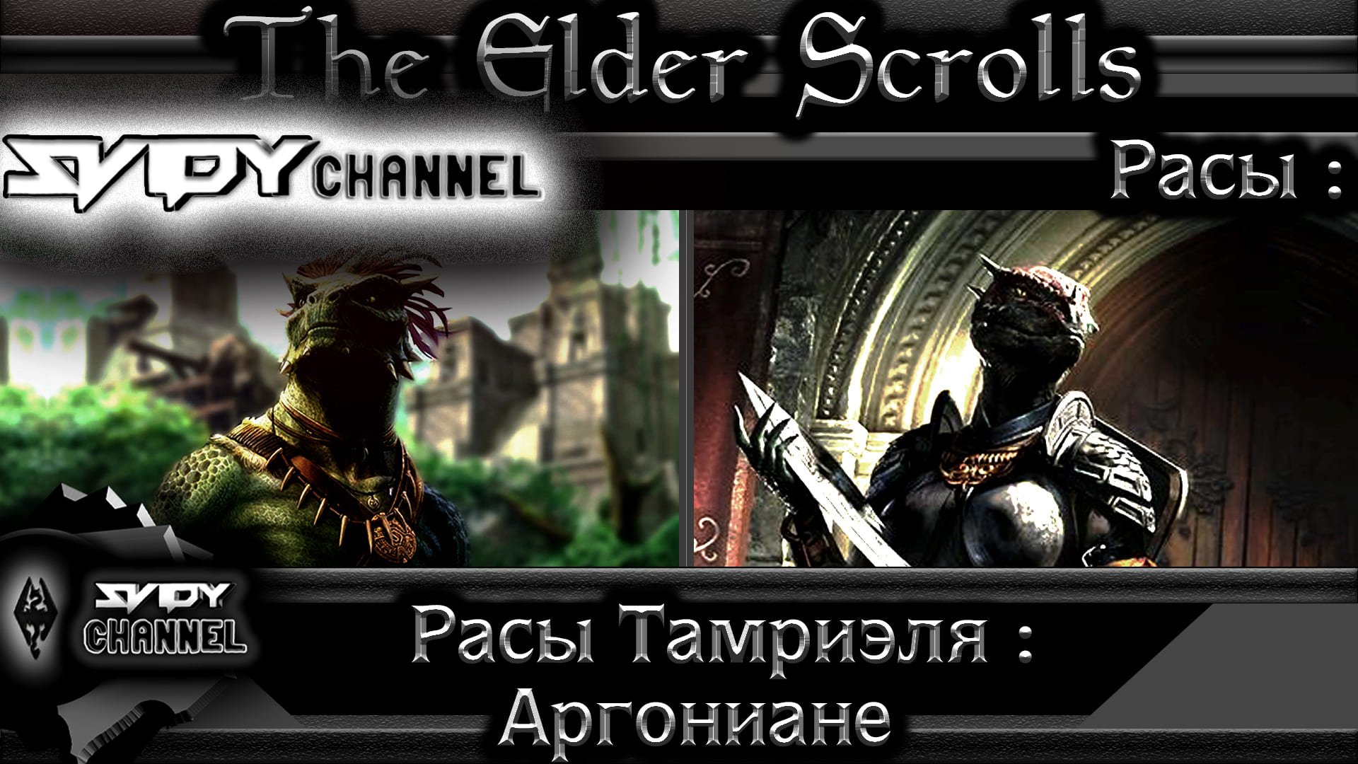 The Elder Scrolls-Расы Тамриэля-Аргониане(Лор)