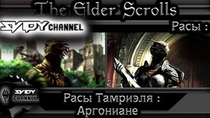 The Elder Scrolls-Расы Тамриэля-Аргониане(Лор)