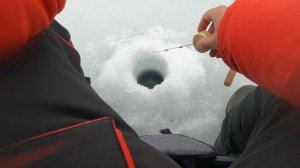 ?ЗИМНЯЯ РЫБАЛКА . ?ЛОВЛЯ ОКУНЯ НА МЕЛКОВОДЬЕ ?САМОДЕЛЬНАЯ МОРМЫШКА.