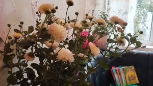 Дача, торговля. День учителя.02.10.22.