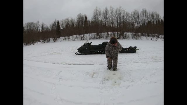 Тайга! Хариус!! Баня!!!