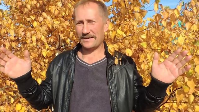 Марина Цветаева ( работа 10 класса ) смотреть онлайн