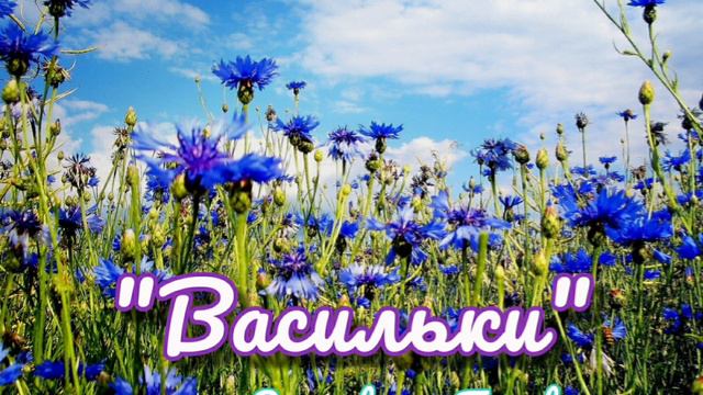 Песня ВАСИЛЬКИ | исп. Елизавета Головизнина