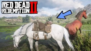 Самая редкая новая лошадь в RDR 2 | Аппалуза малопятнистая
