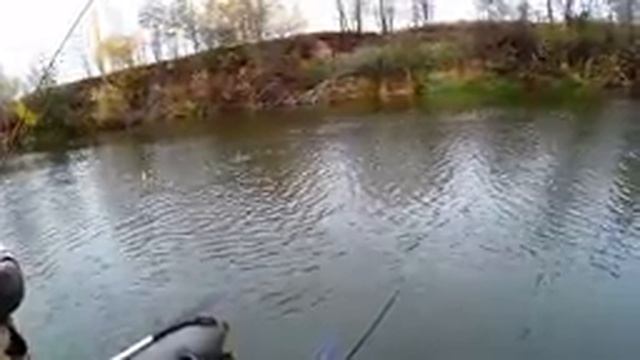 р. Мокша н.п. Пурдошки (рыбачим с Димоном) смотреть онлайн