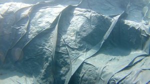 Пруд из ПВХ пленки май 2020 год PVC film pond 2020.
