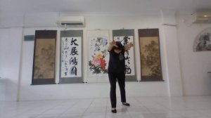 AGUSTINA UTS Qi Gong Wu Qing Xi