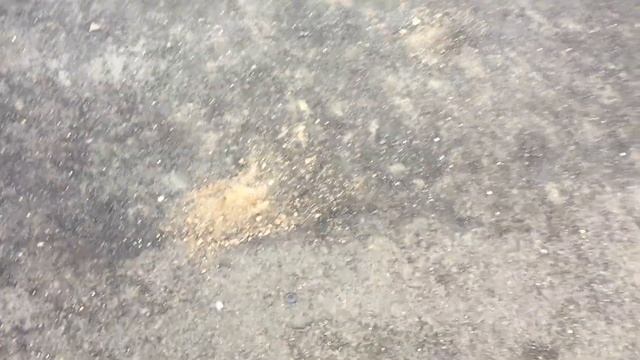 Некачественный асфальт в отремонтированном дворе Нерчинска смотреть онлайн