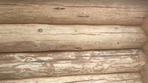 Шлифовка + брошировка сруба бани! Часть 1