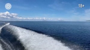 Бурые водоросли ламинария - Ламинор гель #ламинария #водоросли #бурыеводоросли