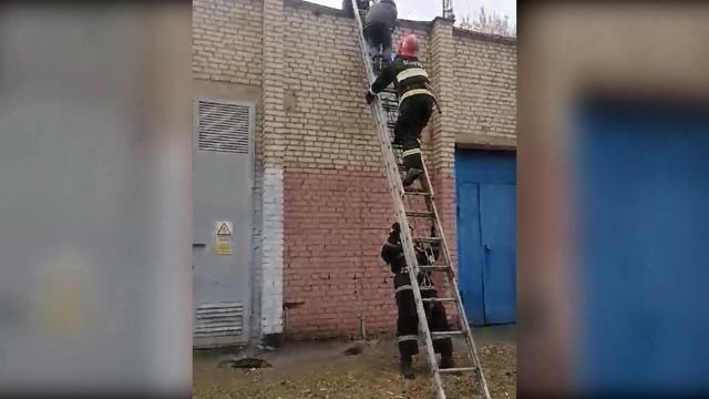 27.02.2022. Помощь мальчику в Гомеле смотреть онлайн