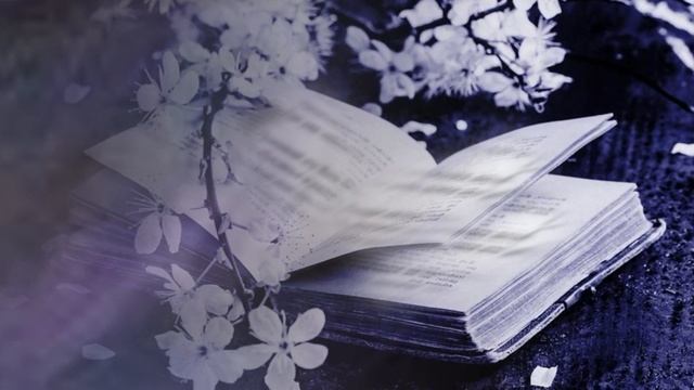 Снова белые ночи без сна (Владимир БЕГ & Елена Александренко & Тамара Школина) смотреть онлайн