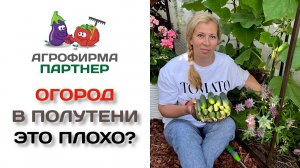Огород в полутени – это плохо?