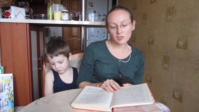 10 что любит Мишка смотреть онлайн