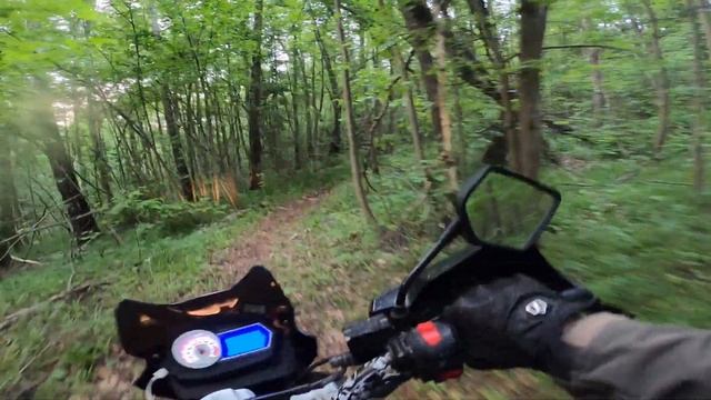 RACER Ranger RC250-GA8A. прохват по лесу по нашей трассе 11.06.2023. смотреть онлайн