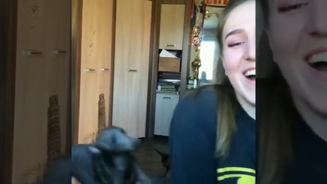 Самая наглая Левретка ❤❤❤ смотреть онлайн