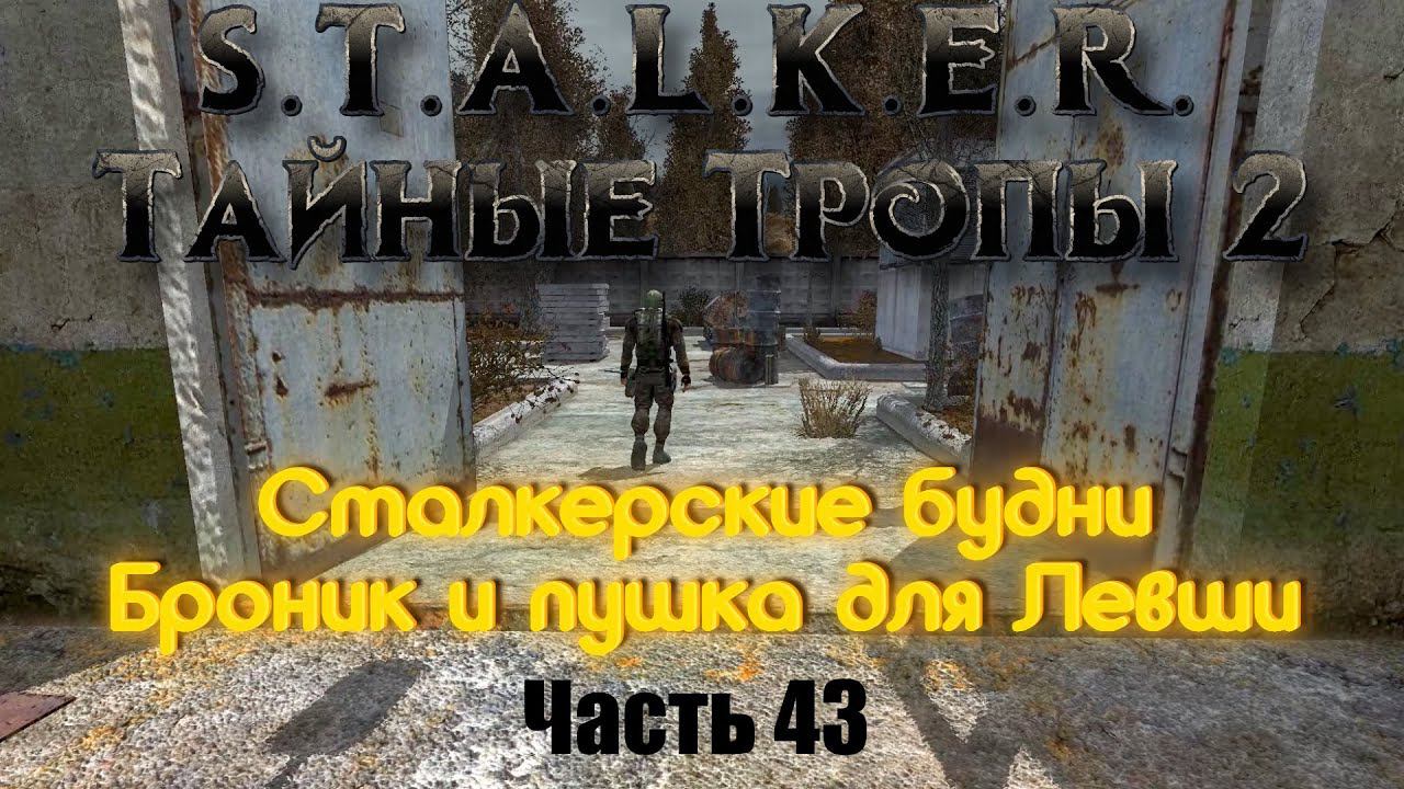 S.T.A.L.K.E.R. Тайные Тропы 2. Часть 43: Сталкерские будни. Броня и пушка для Левши.