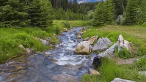 Обитель моя у Потоков Живых