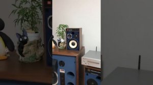 JBL 4312M Ⅱ WX