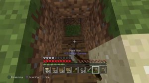 Minecraft ps4- episode 2: Mini Island survival  + love garden